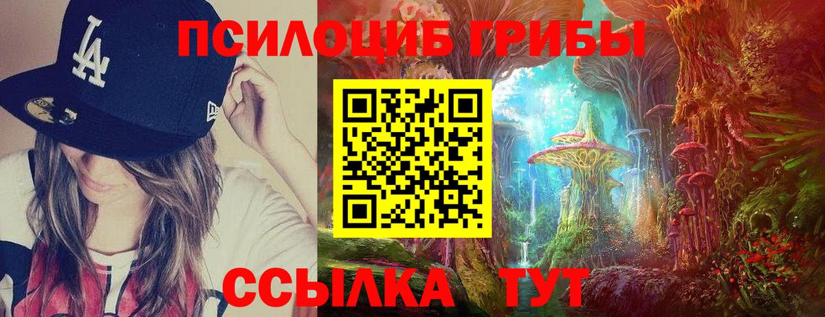 Псилоцибиновые грибы прущие грибы  Вход с VPN  Галлюциногенные грибы ЛСД  Губкинский 