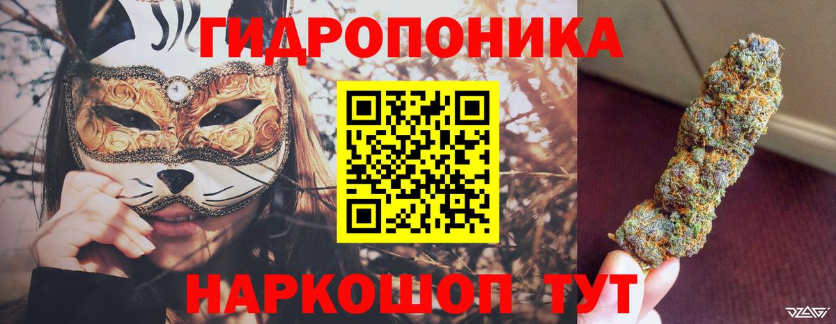 Шишки марихуана планчик Губкинский